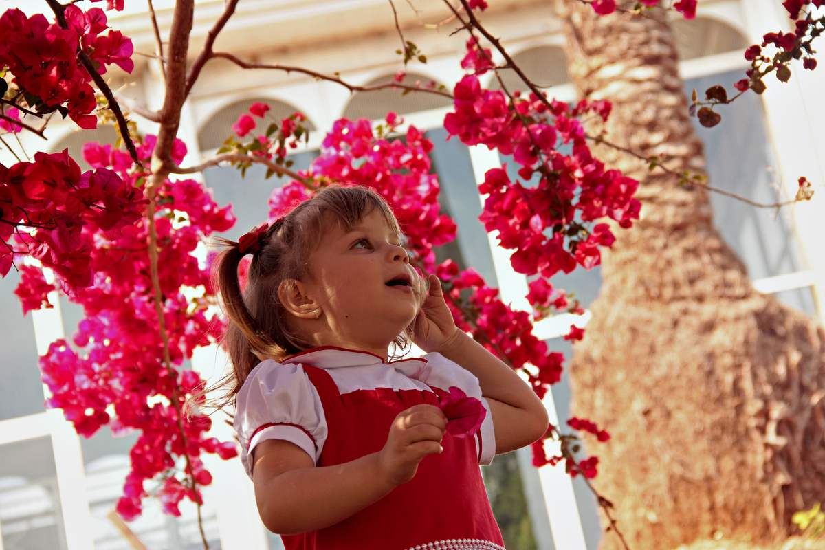 jardim botanico - ensaio de infantil - fotografia infantil - festa de criança - fotografia de festa - sorocaba - sao paulo
