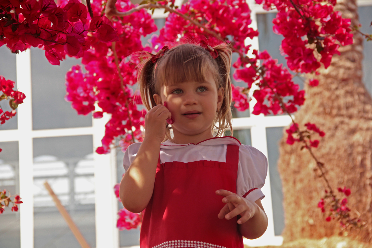 jardim botanico - ensaio de infantil - fotografia infantil - festa de criança - fotografia de festa - sorocaba - sao paulo