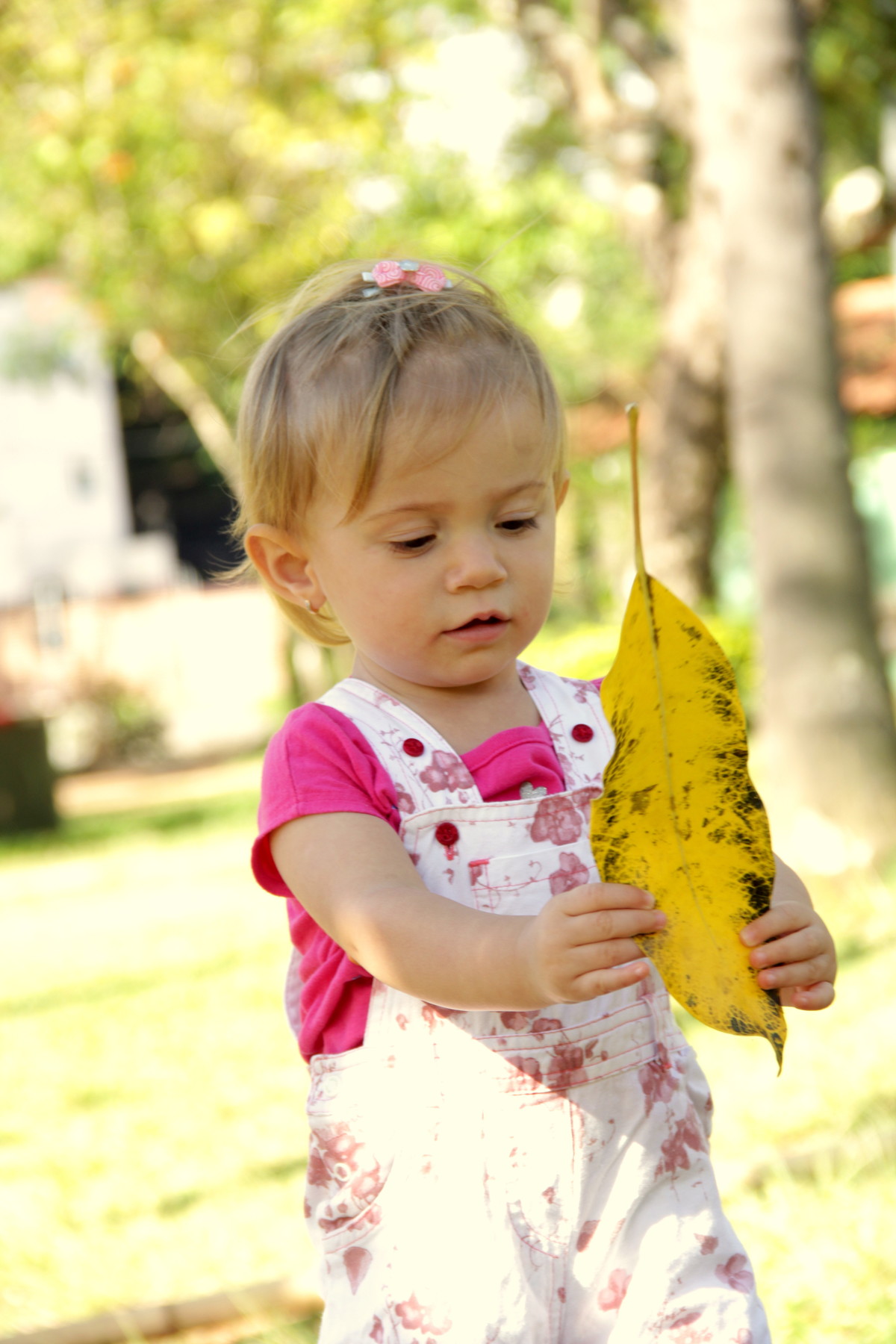 família- ensaio externo de família - ensaio no parque - fotos de família no parque