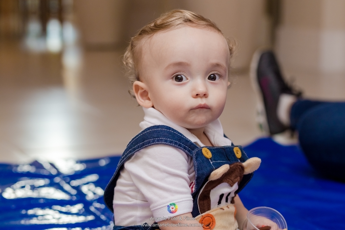 festa infantil tema safari primeiro aninho barra da tijuca rio de janeiro decoração tema floresta selva 
