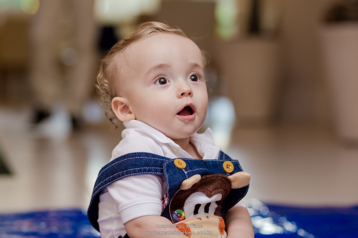 festa infantil tema safari primeiro aninho barra da tijuca rio de janeiro decoração tema floresta selva 
