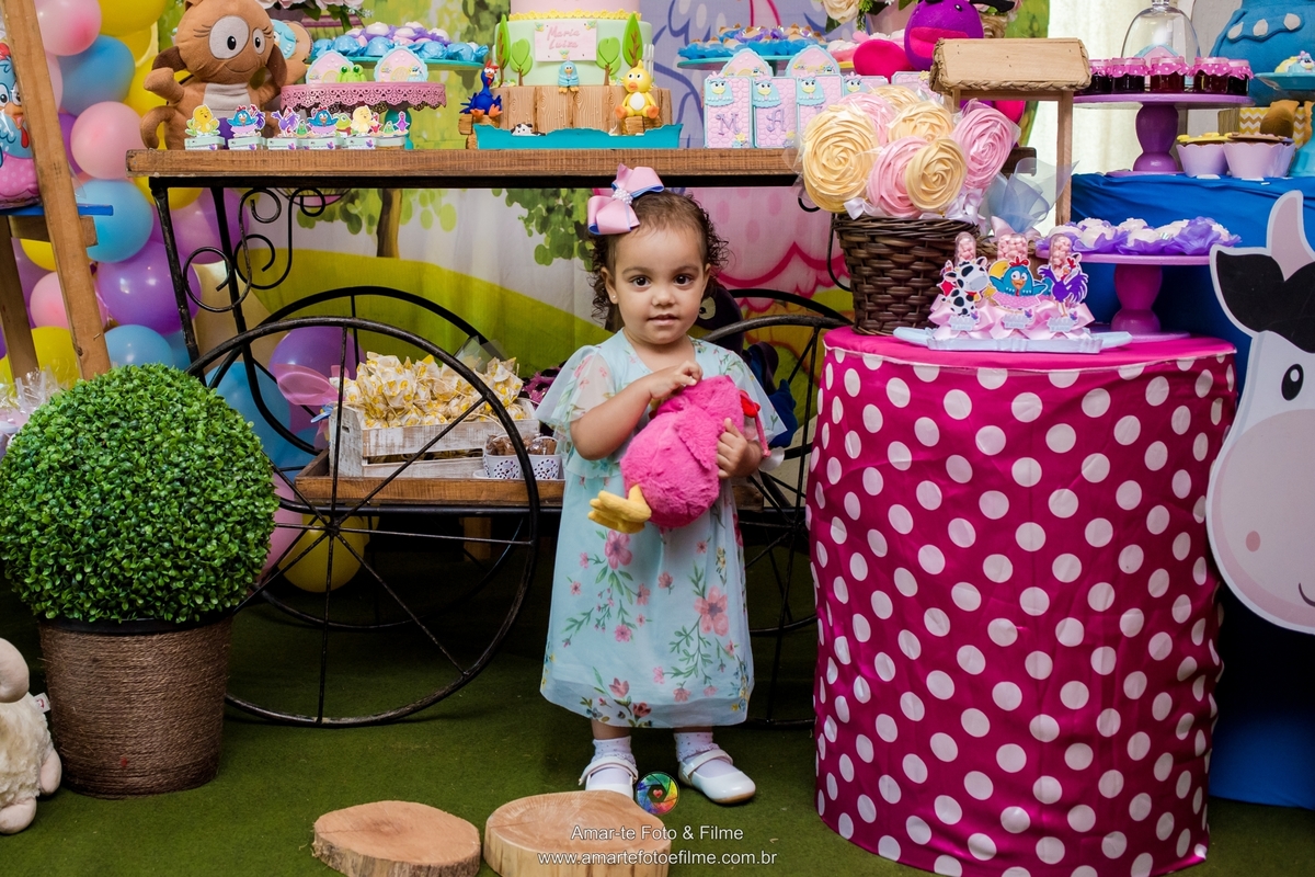 festa infantil tema galinha pintadinha decoração flamengo botafogo barra da tijuca rio de janeiro