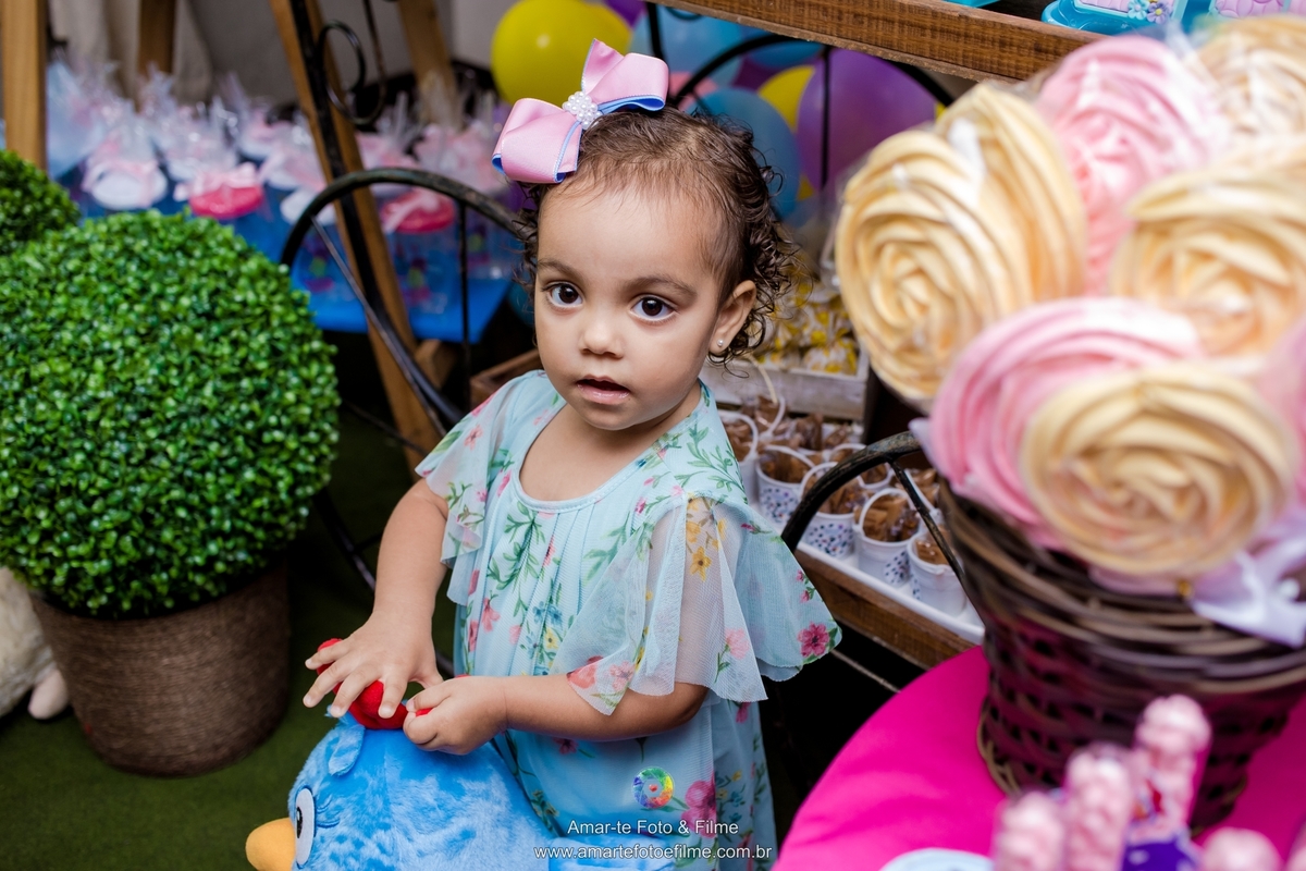 festa infantil tema galinha pintadinha decoração flamengo botafogo barra da tijuca rio de janeiro