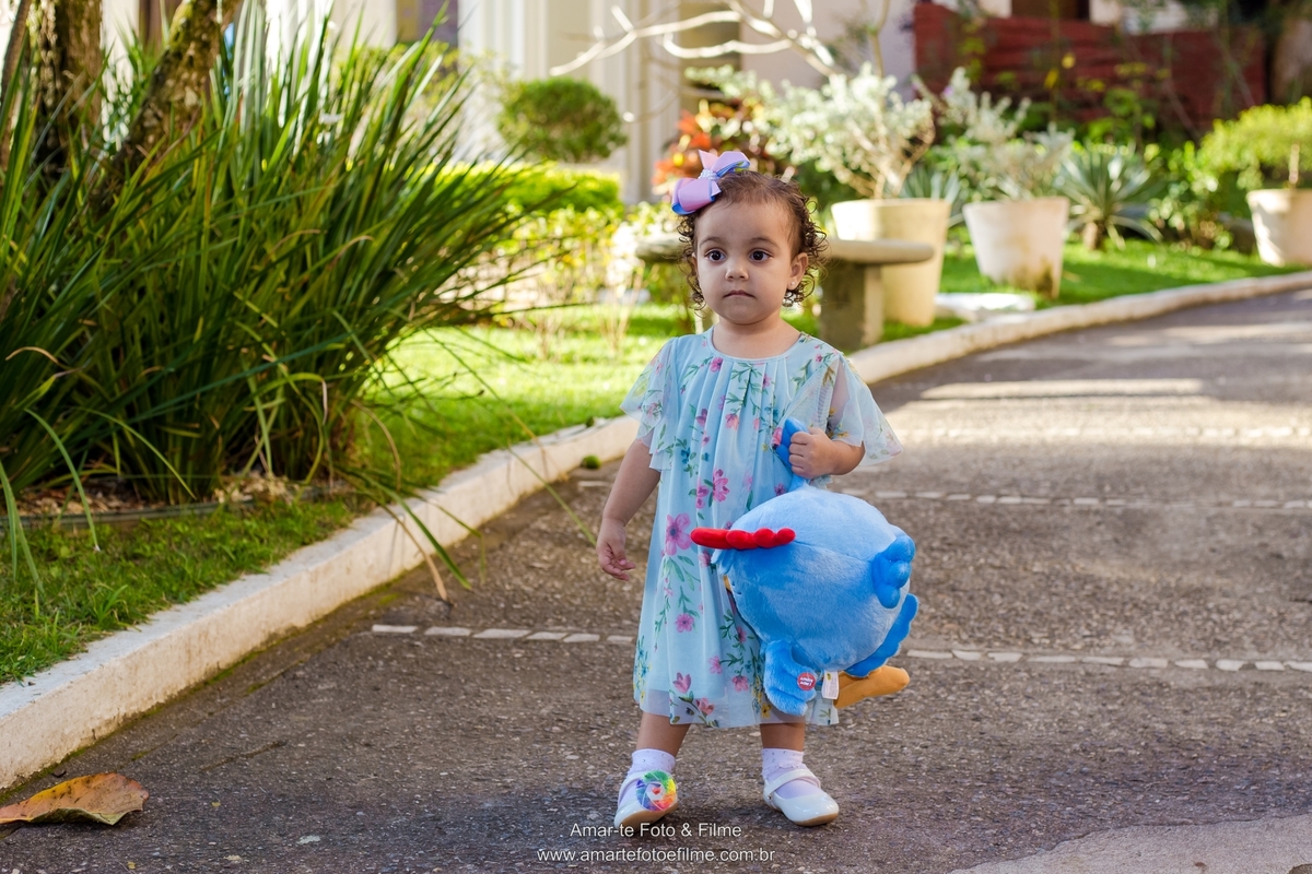 festa infantil tema galinha pintadinha decoração flamengo botafogo barra da tijuca rio de janeiro