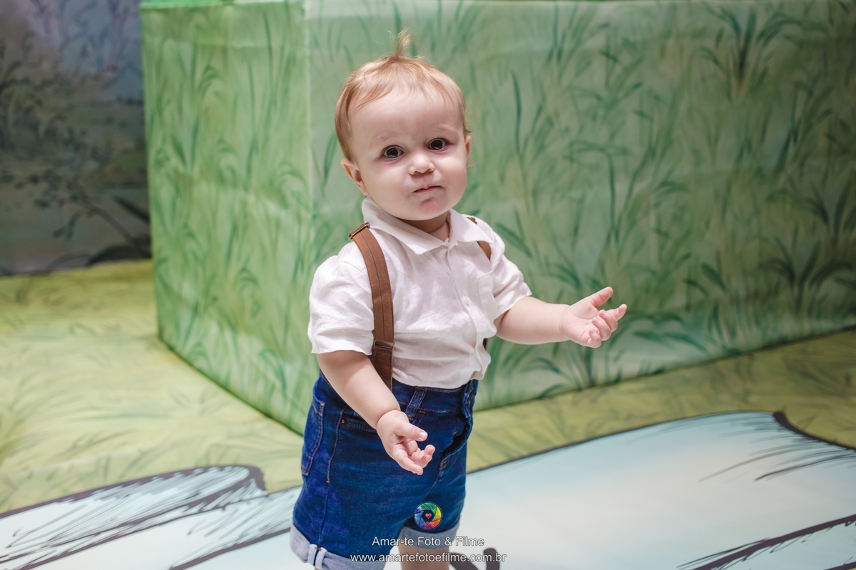 festa infantil ursinho pooh decoração espaço baobá tijuca fotógrafo de festa infantil fotografia