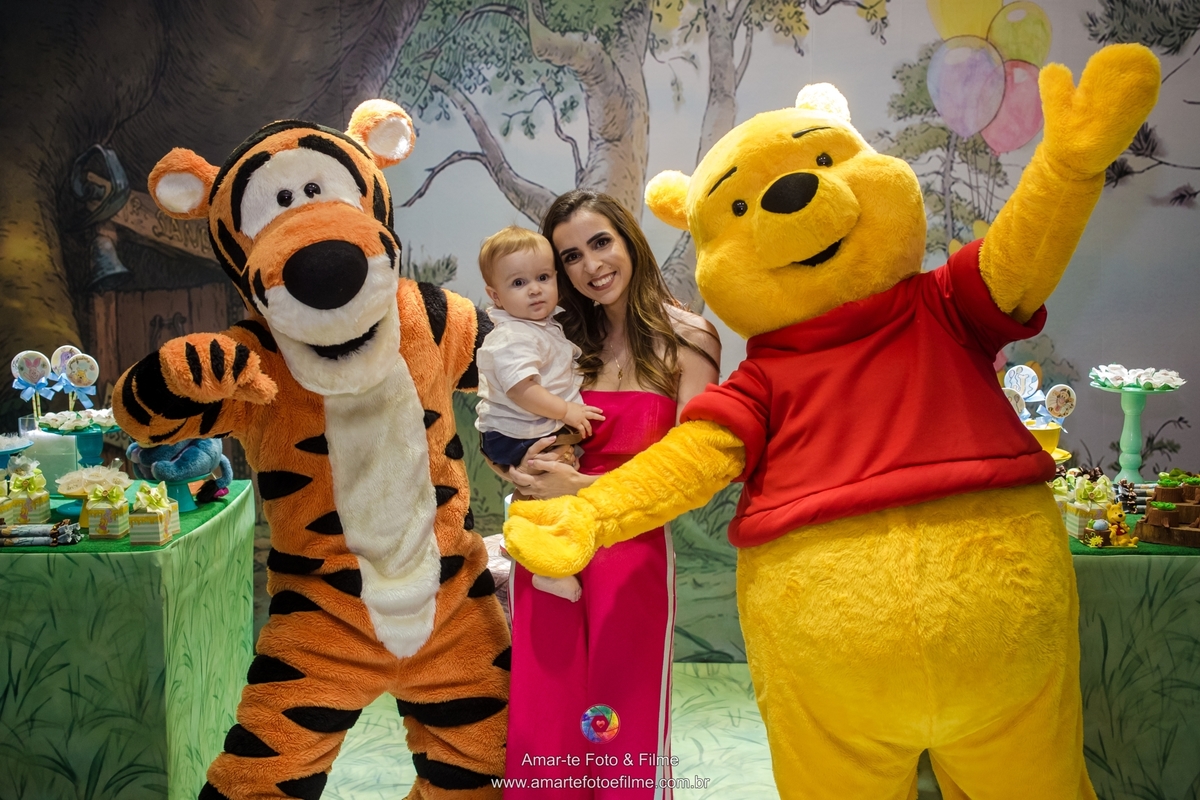 festa infantil ursinho pooh decoração espaço baobá tijuca fotógrafo de festa infantil fotografia
