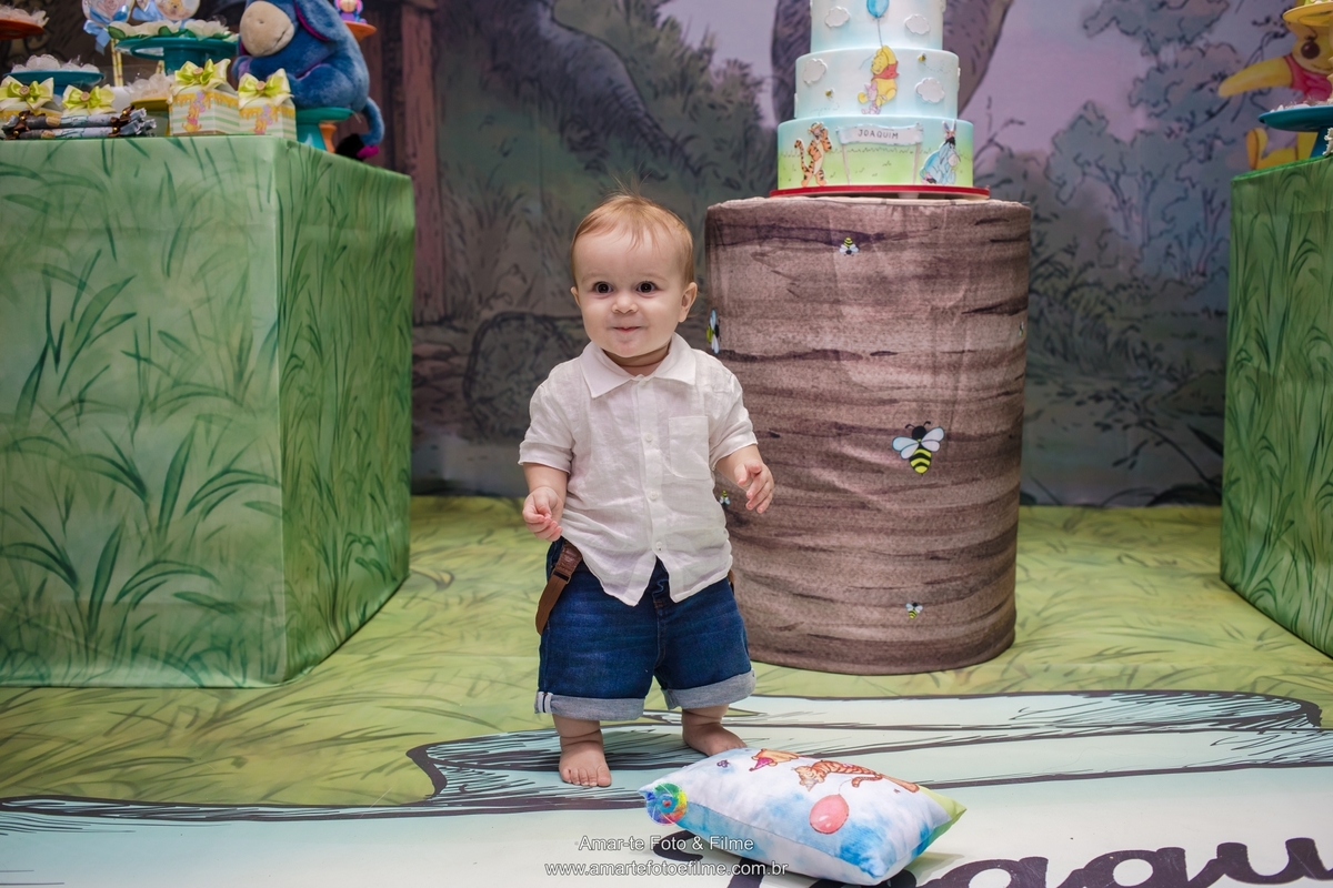 festa infantil ursinho pooh decoração espaço baobá tijuca fotógrafo de festa infantil fotografia