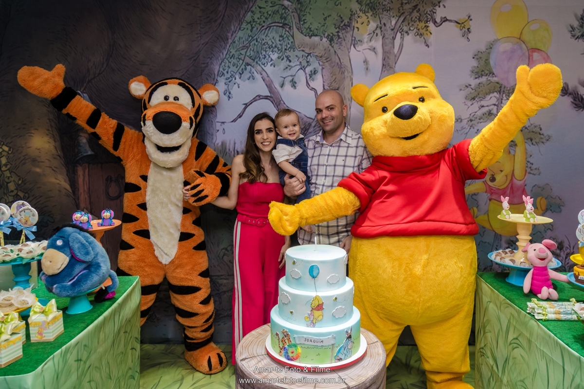 festa infantil ursinho pooh decoração espaço baobá tijuca fotógrafo de festa infantil fotografia