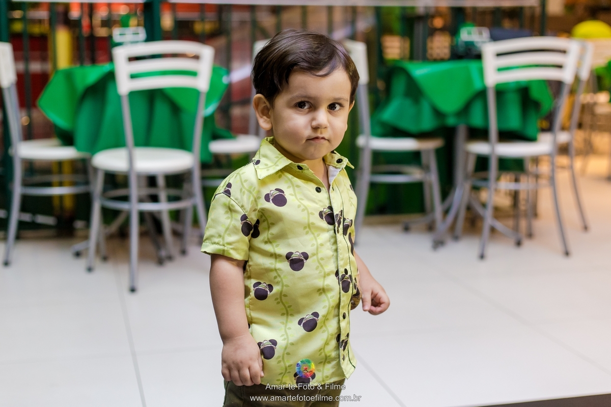 fotografo festa infantil rio de janeiro mr frog barra da tijuca recreio dos bandeirantes tema mickey safari disney decoração