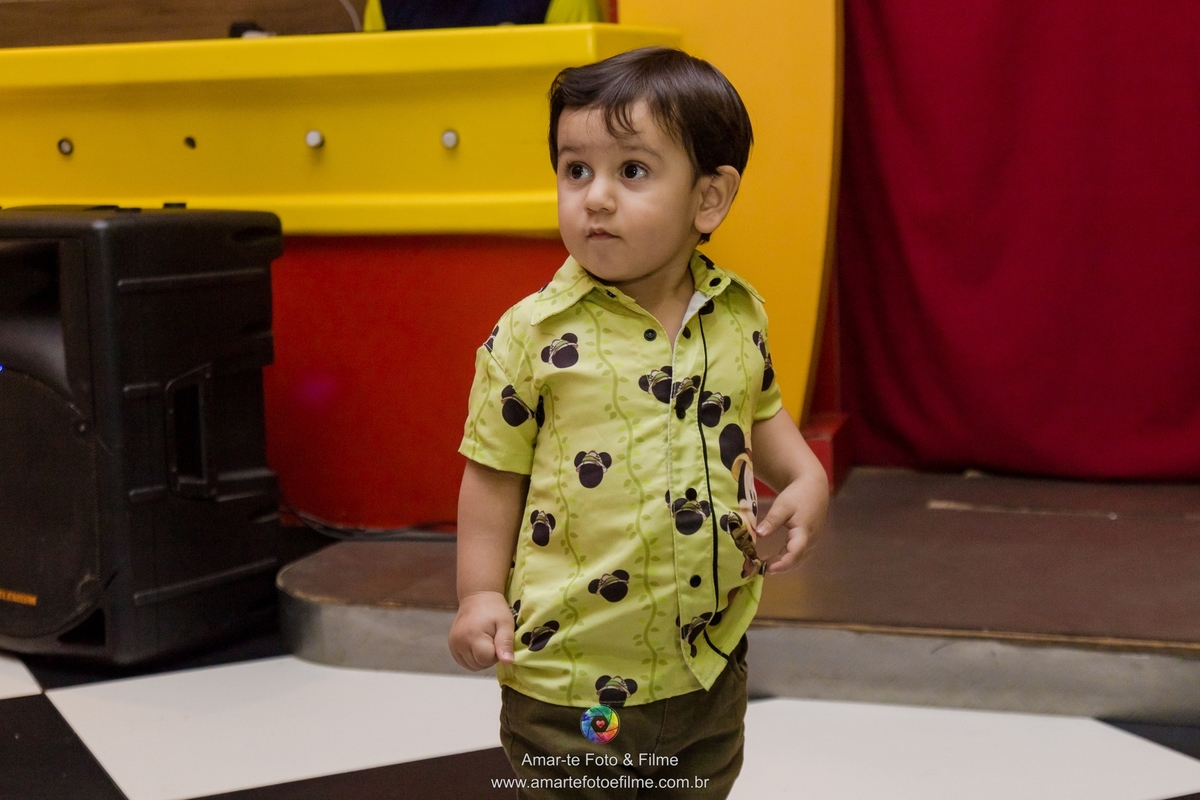 fotografo festa infantil rio de janeiro mr frog barra da tijuca recreio dos bandeirantes tema mickey safari disney decoração