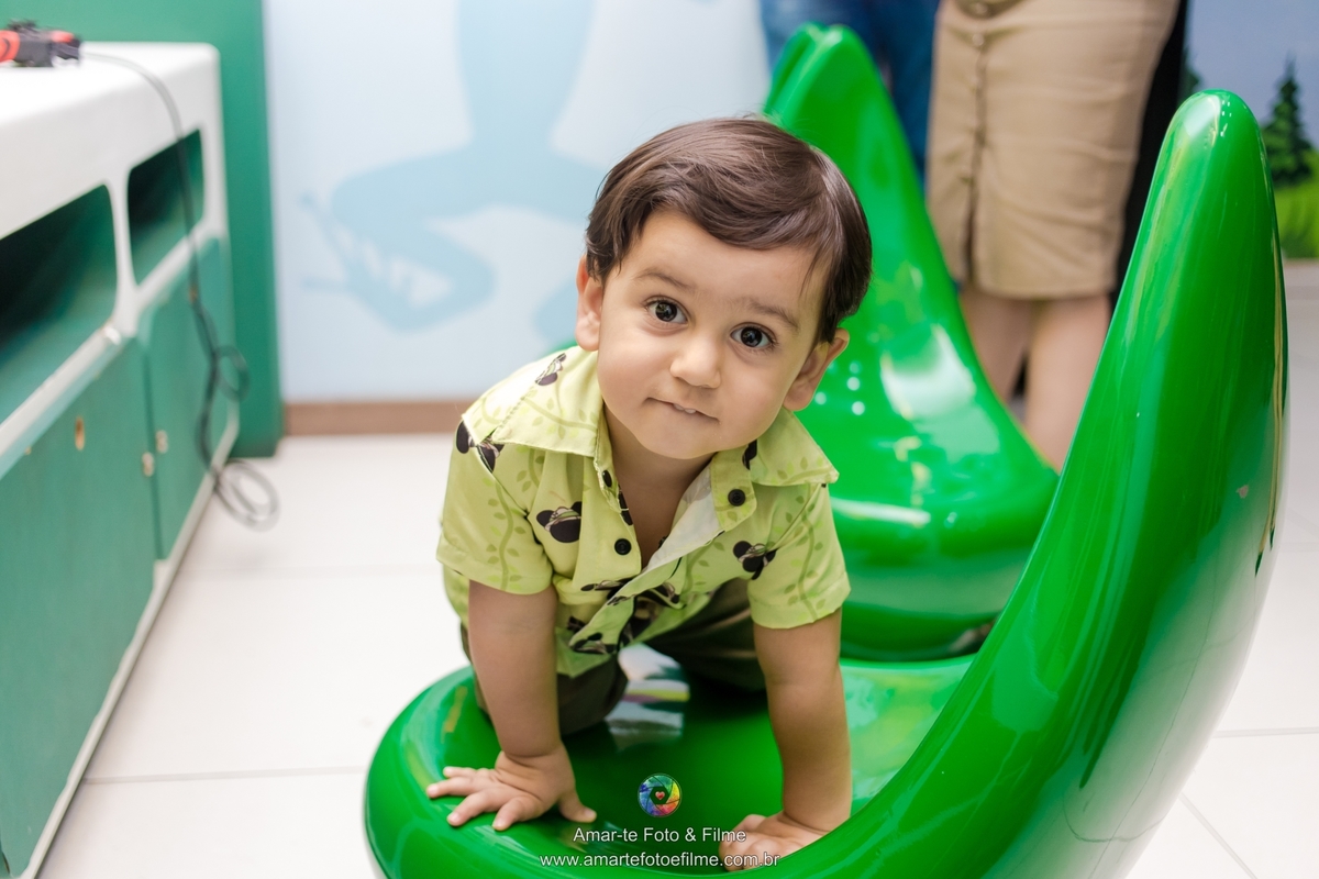 fotografo festa infantil rio de janeiro mr frog barra da tijuca recreio dos bandeirantes tema mickey safari disney decoração