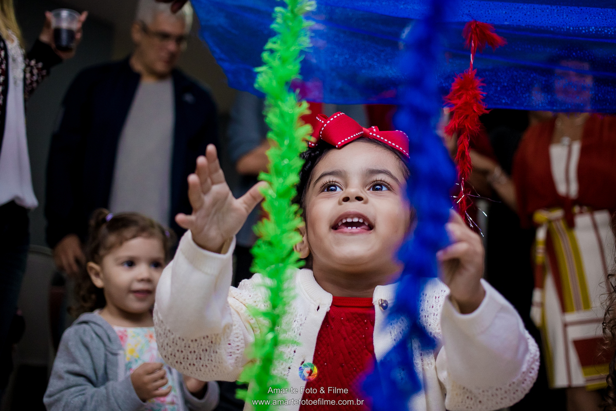 fotografo festa infantil tijuca rio de janeiro decoraçao chapeuzinho vermelho