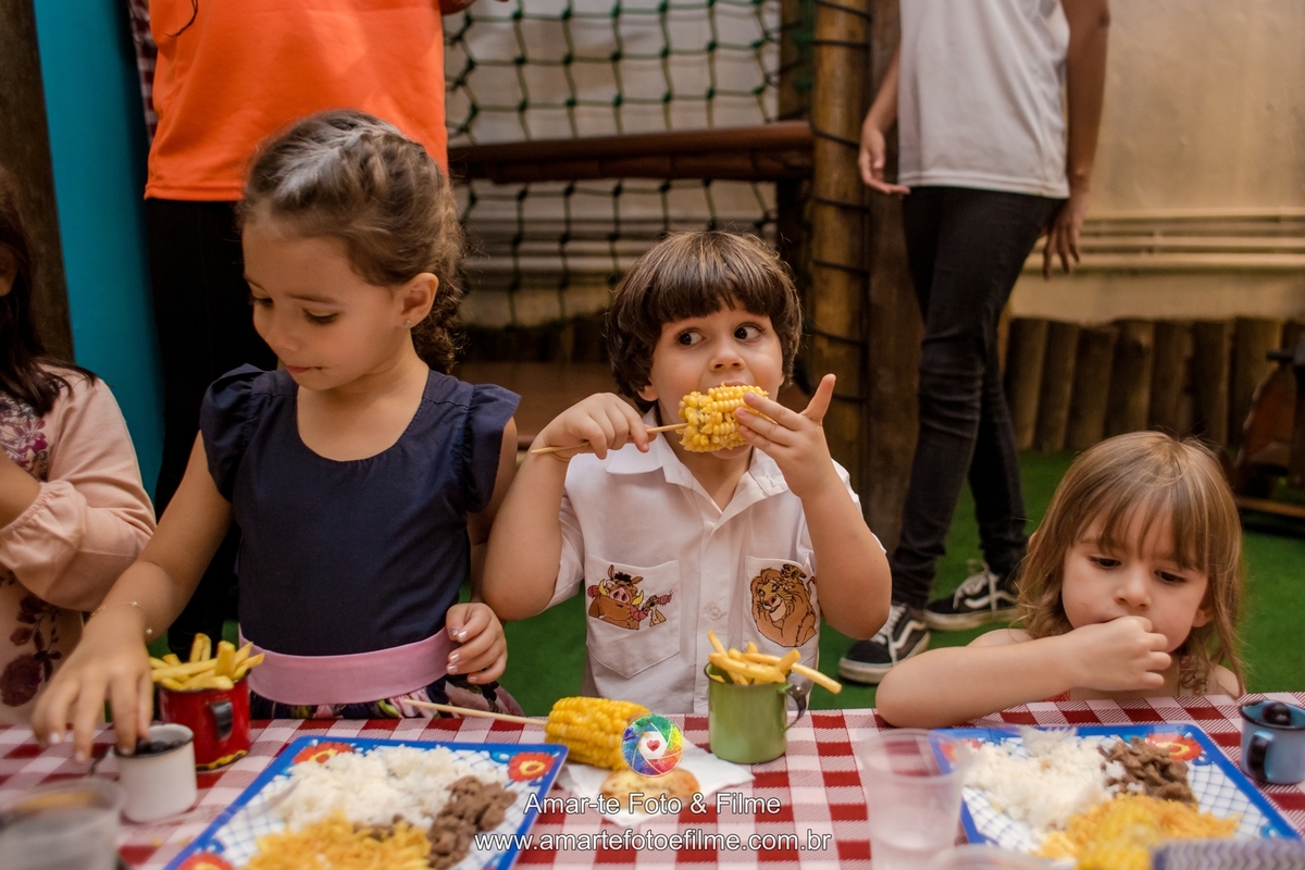 espaço aldeia fotografia joá rei leao leão decoração decoracao barra da tijuca recreio rio de janeiro fotografo infantil