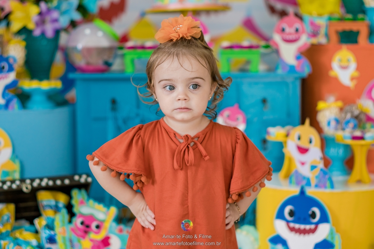 festa infantil decoração decoracao baby shark dois anos vargem grande recreio barra da tijuca fotografo de festa infantil rio de janeiro rj
