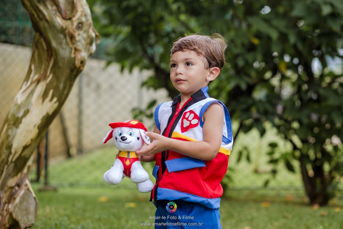 patrulha canina decoraçao decoração decoracao festa infantil rio de janeiro barra de tijuca recreio dos bandeirantes fotografo 