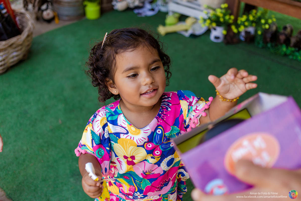 festa infantil na fazendinha rio vargem grande recreio animais bichinhos dois anos festa fazendinha