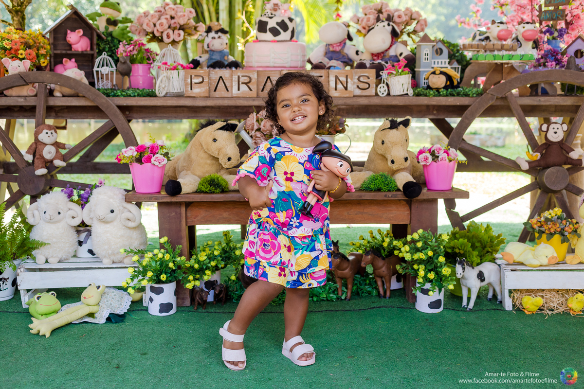festa infantil na fazendinha rio vargem grande recreio animais bichinhos dois anos festa fazendinha