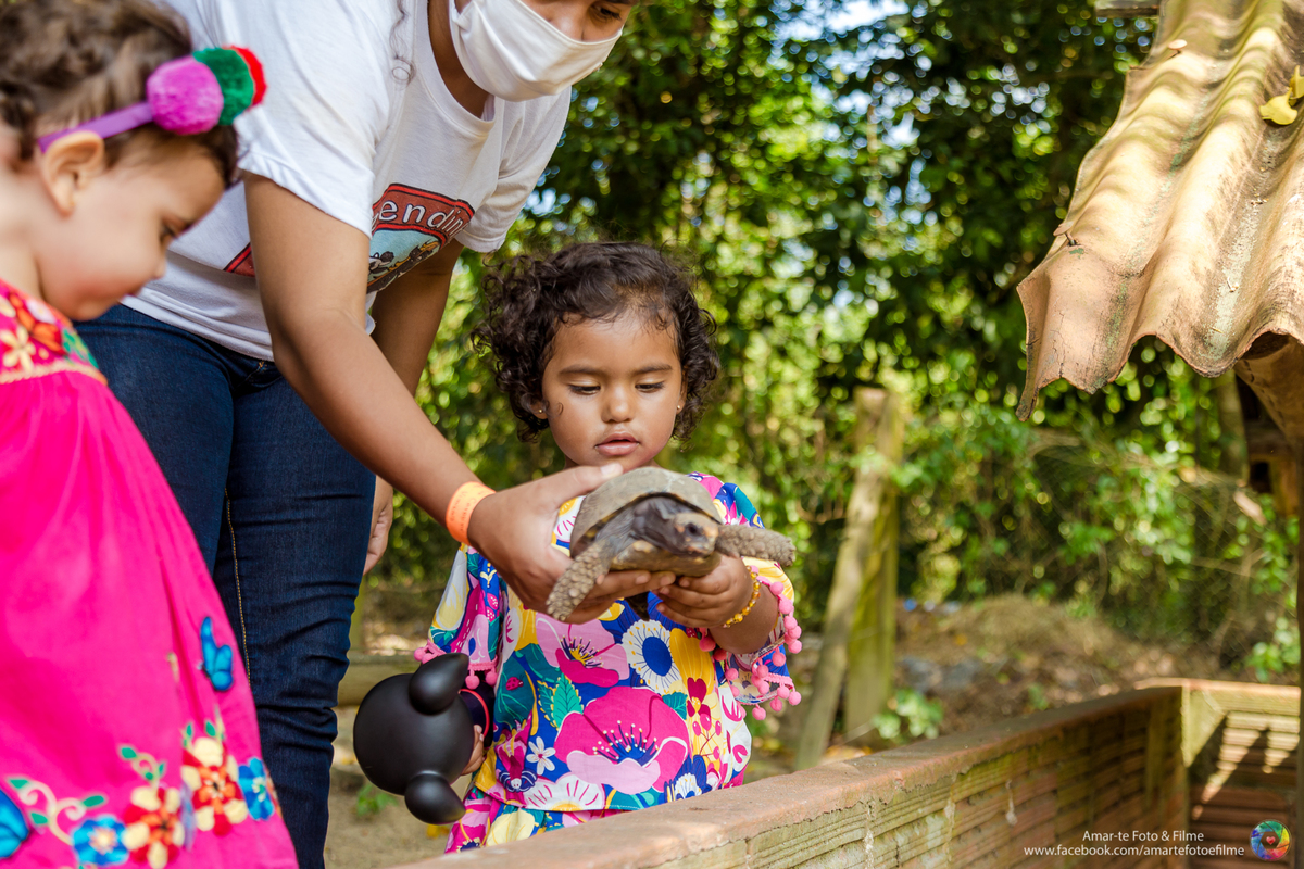 festa infantil na fazendinha rio vargem grande recreio animais bichinhos dois anos festa fazendinha