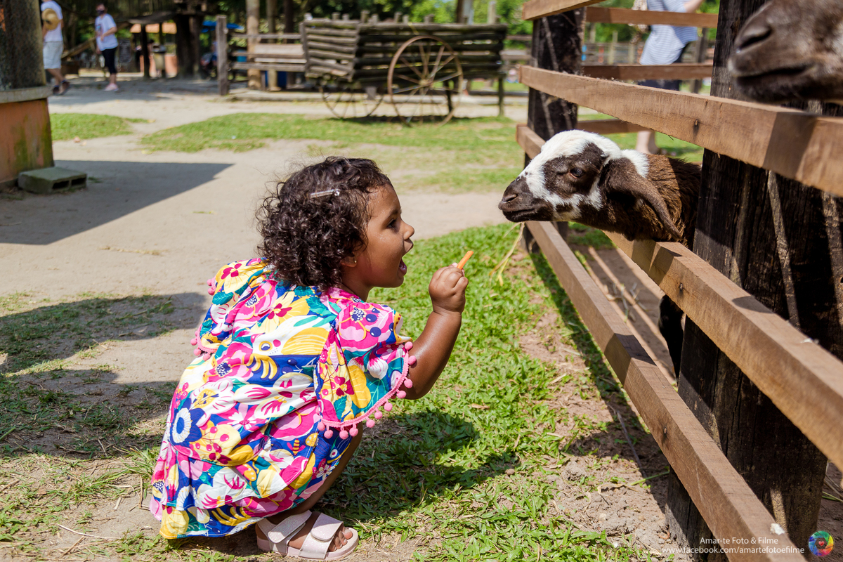 festa infantil na fazendinha rio vargem grande recreio animais bichinhos dois anos festa fazendinha