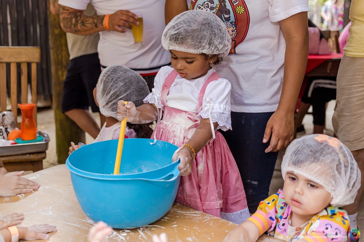 festa infantil na fazendinha rio vargem grande recreio animais bichinhos dois anos festa fazendinha