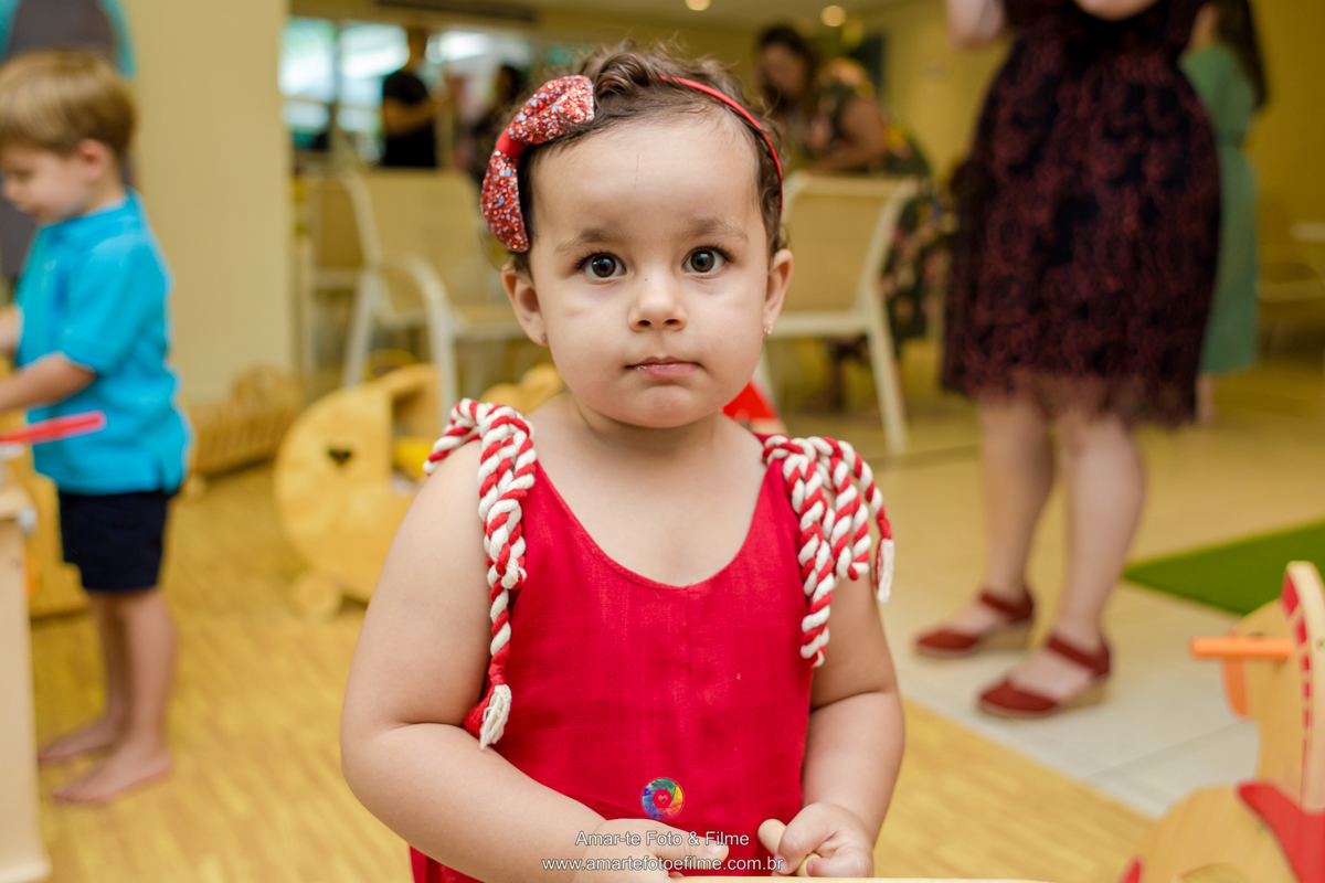 festa peppa pig rio de janeiro recreio dos bandeirantes menina fotografo familia dois anos 2