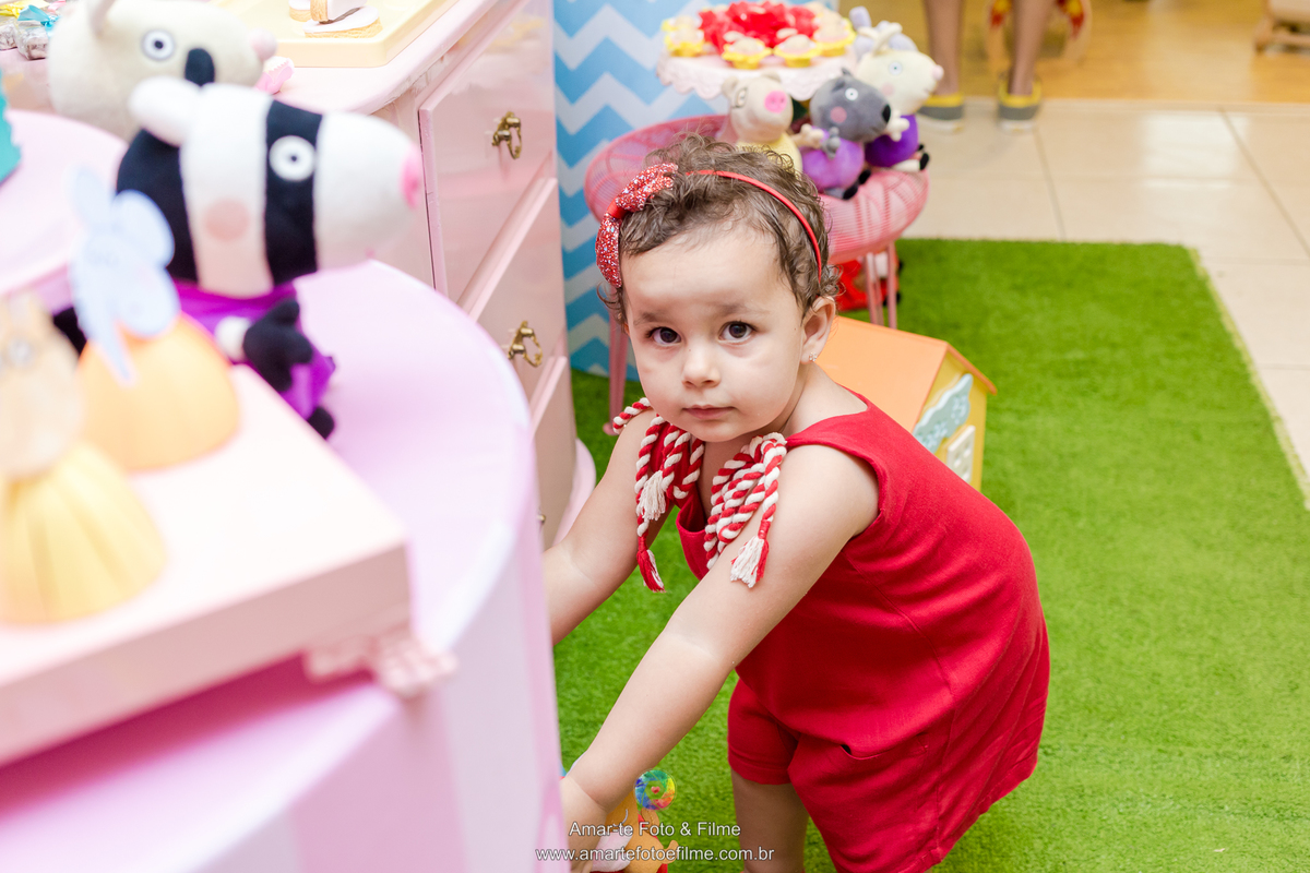 festa peppa pig rio de janeiro recreio dos bandeirantes menina fotografo familia dois anos 2