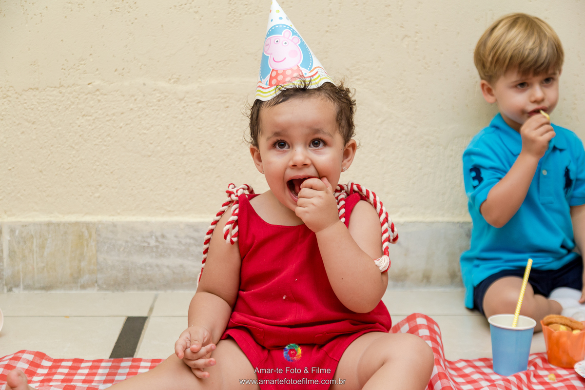 festa peppa pig rio de janeiro recreio dos bandeirantes menina fotografo familia dois anos 2