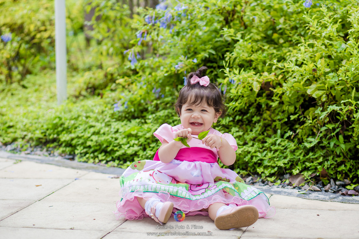festa infantil tema fazendinha decoração menina barra da tijuca cidade jardim externo ar livre
