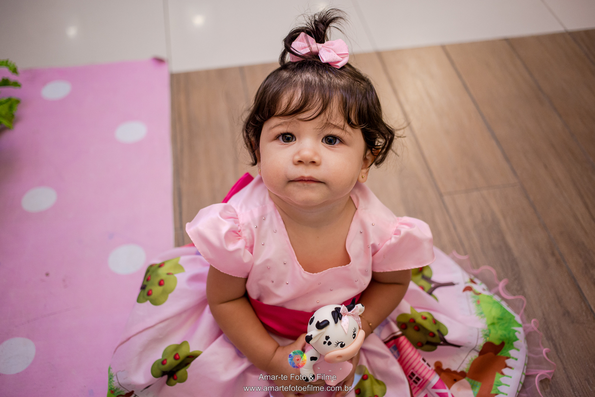 festa infantil tema fazendinha decoração menina barra da tijuca cidade jardim externo ar livre