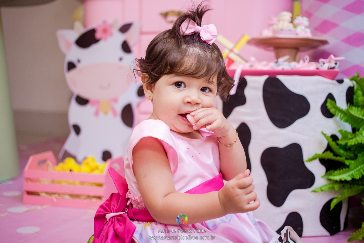 festa infantil tema fazendinha decoração menina barra da tijuca cidade jardim externo ar livre