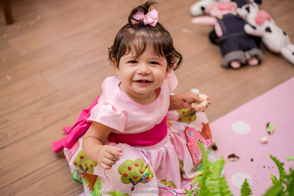 festa infantil tema fazendinha decoração menina barra da tijuca cidade jardim externo ar livre
