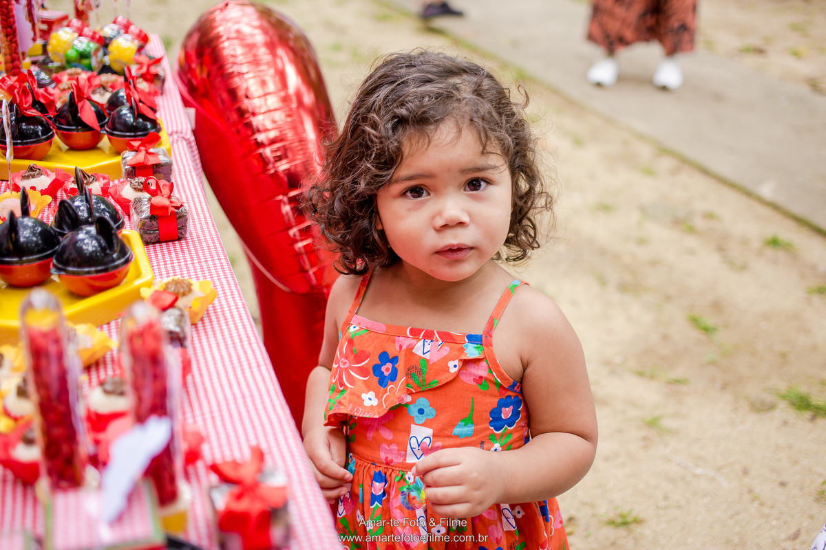 festa infantil minnie vermelha decoração mesa do bolo ao ar livre itanhagá barra da tijuca rio de janeiro menina
