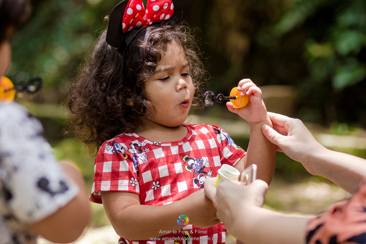 festa infantil minnie vermelha decoração mesa do bolo ao ar livre itanhagá barra da tijuca rio de janeiro menina