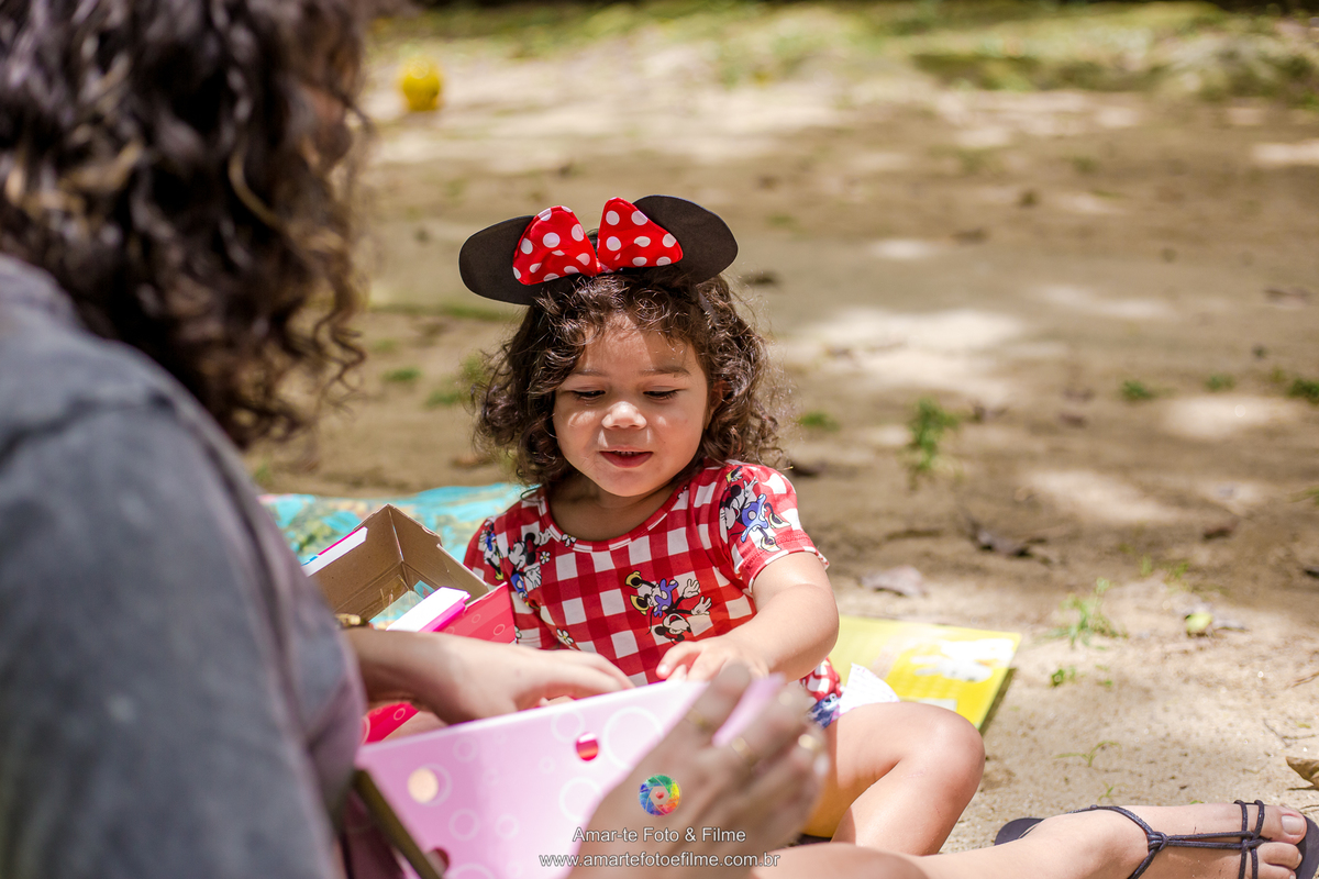 festa infantil minnie vermelha decoração mesa do bolo ao ar livre itanhagá barra da tijuca rio de janeiro menina