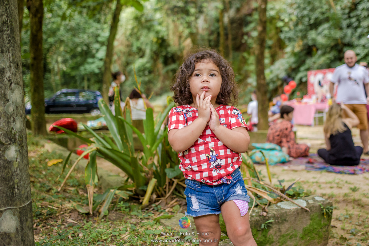 festa infantil minnie vermelha decoração mesa do bolo ao ar livre itanhagá barra da tijuca rio de janeiro menina