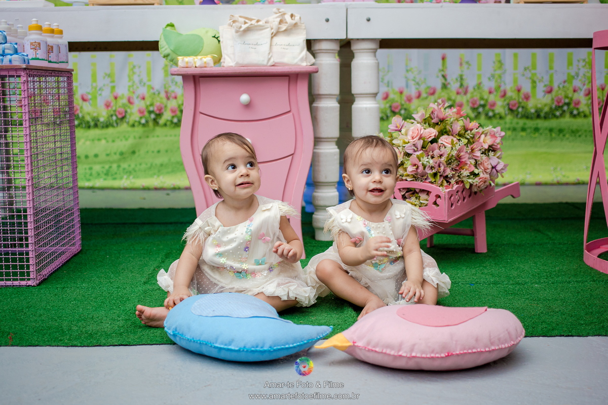 festa jardim encantado um ano decoração gemeas rio de janeiro sitio bambuluar campo grande barra recreio infantil