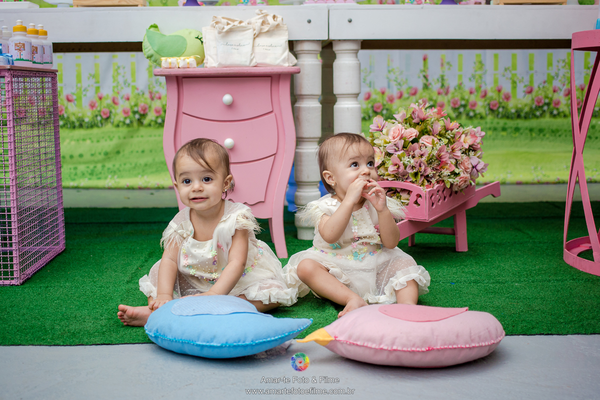 festa jardim encantado um ano decoração gemeas rio de janeiro sitio bambuluar campo grande barra recreio infantil