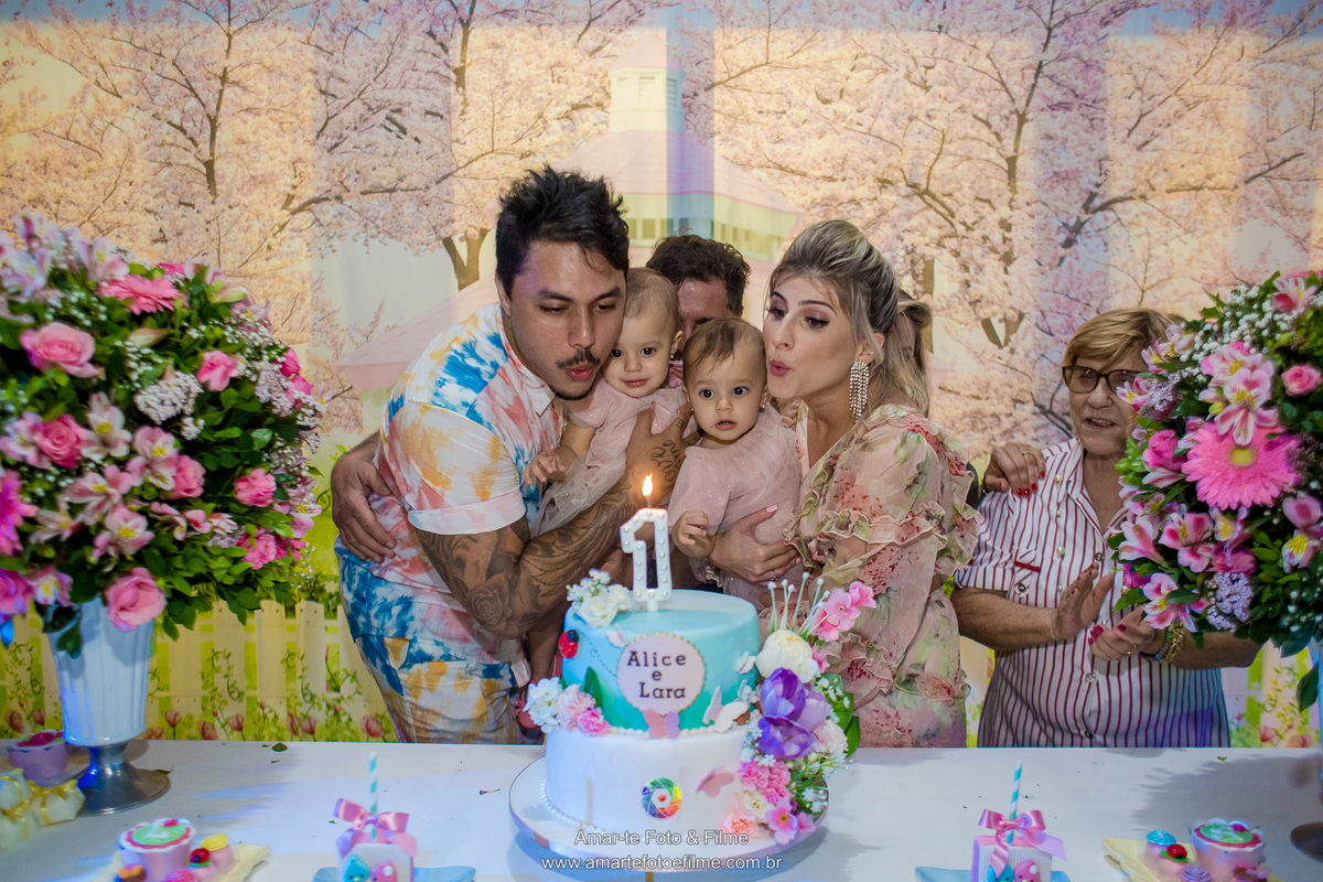 festa jardim encantado um ano decoração gemeas rio de janeiro sitio bambuluar campo grande barra recreio infantil