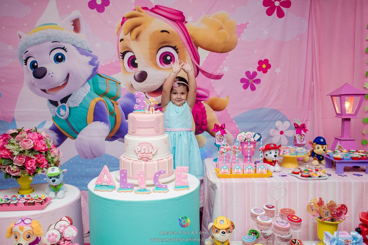 festa infantil patrulha canina salagadum tijuca zona norte rio de janeiro menina