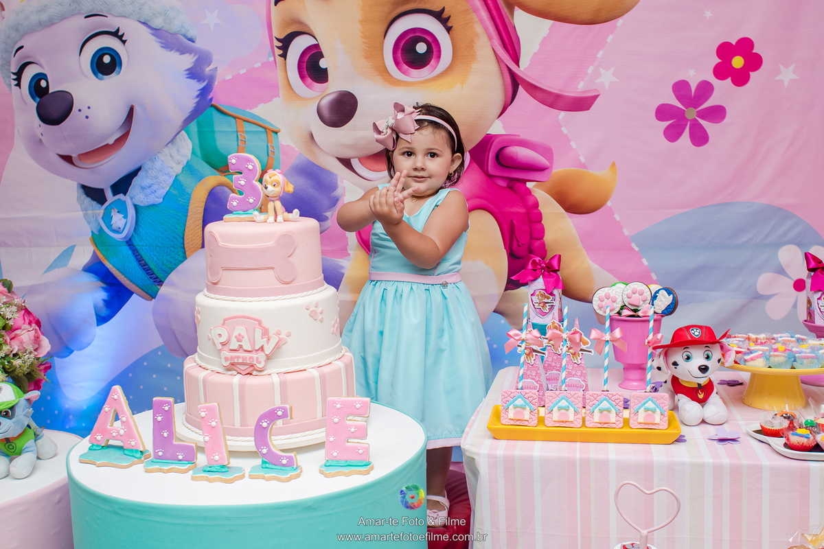 festa infantil patrulha canina salagadum tijuca zona norte rio de janeiro menina