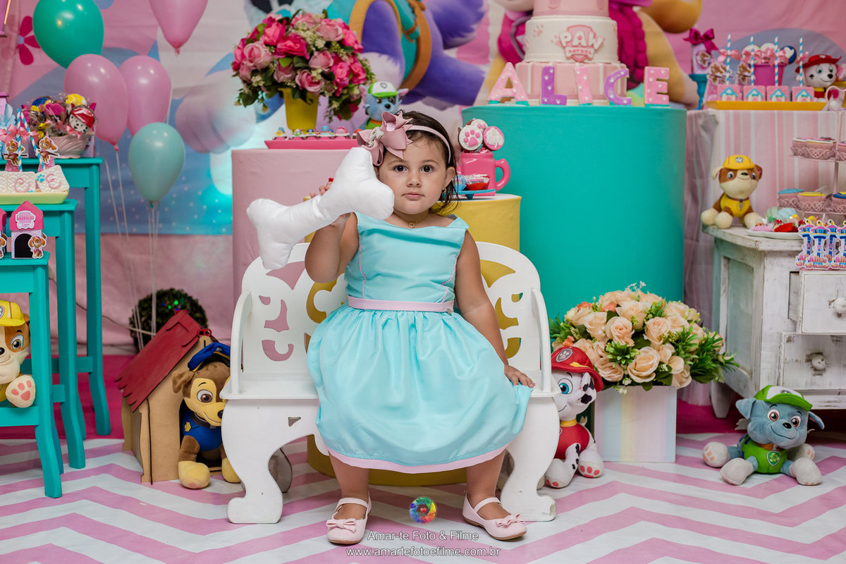 festa infantil patrulha canina salagadum tijuca zona norte rio de janeiro menina