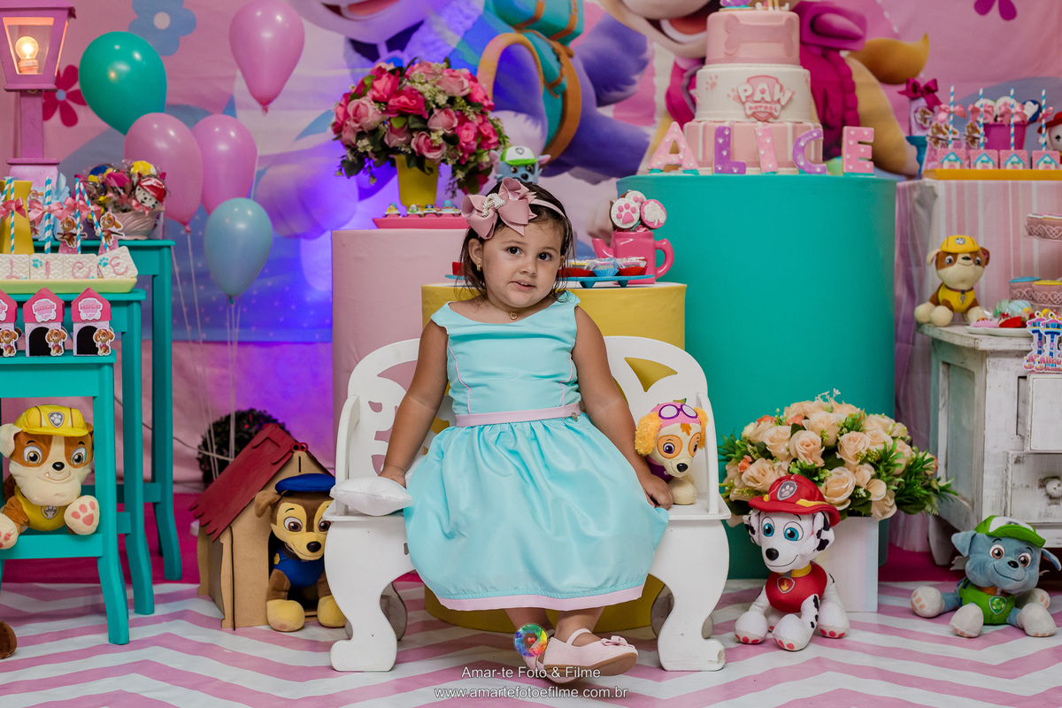 festa infantil patrulha canina salagadum tijuca zona norte rio de janeiro menina