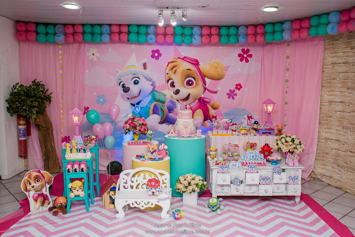 festa infantil patrulha canina salagadum tijuca zona norte rio de janeiro menina