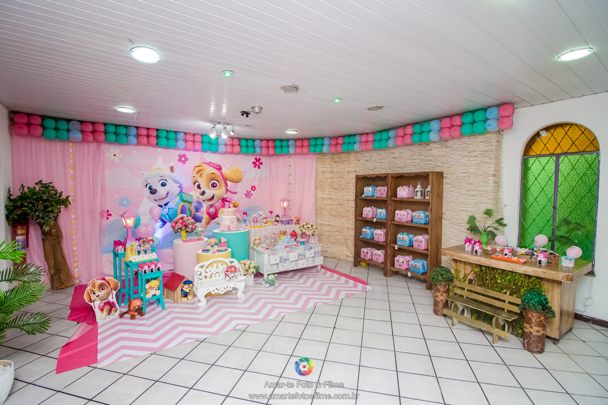 festa infantil patrulha canina salagadum tijuca zona norte rio de janeiro menina