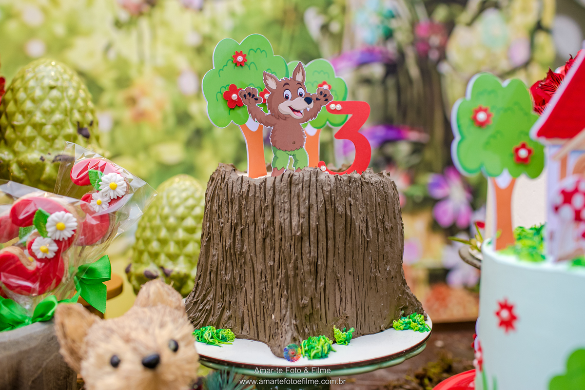 fotografo festa infantil chapeuzinho vermelho