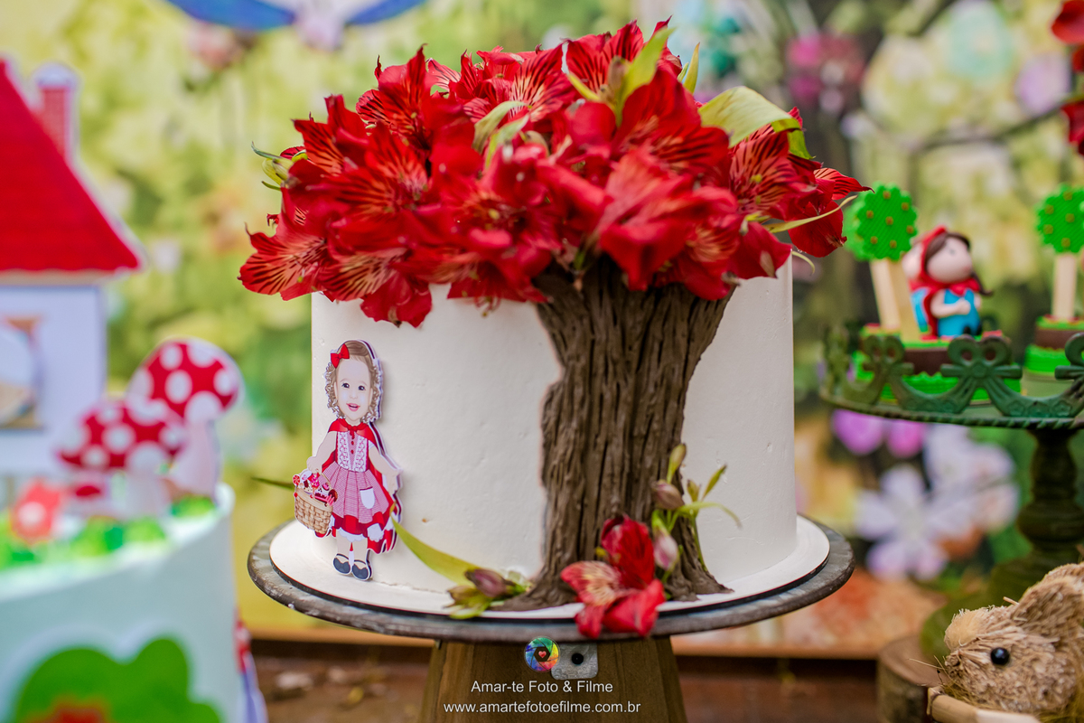 fotografo festa infantil chapeuzinho vermelho