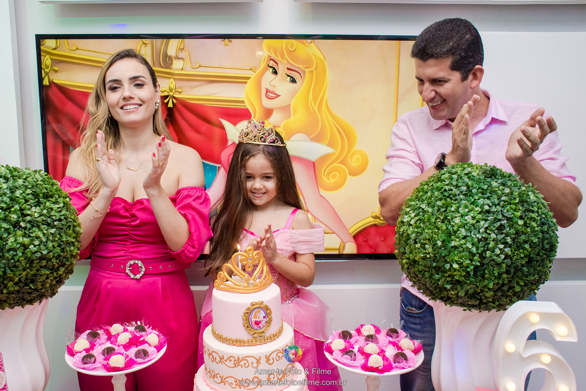 festa infantil bela adormecida parquinho de shopping rio de janeiro barra da tijuca animasom rio design vestido de princesa aurora