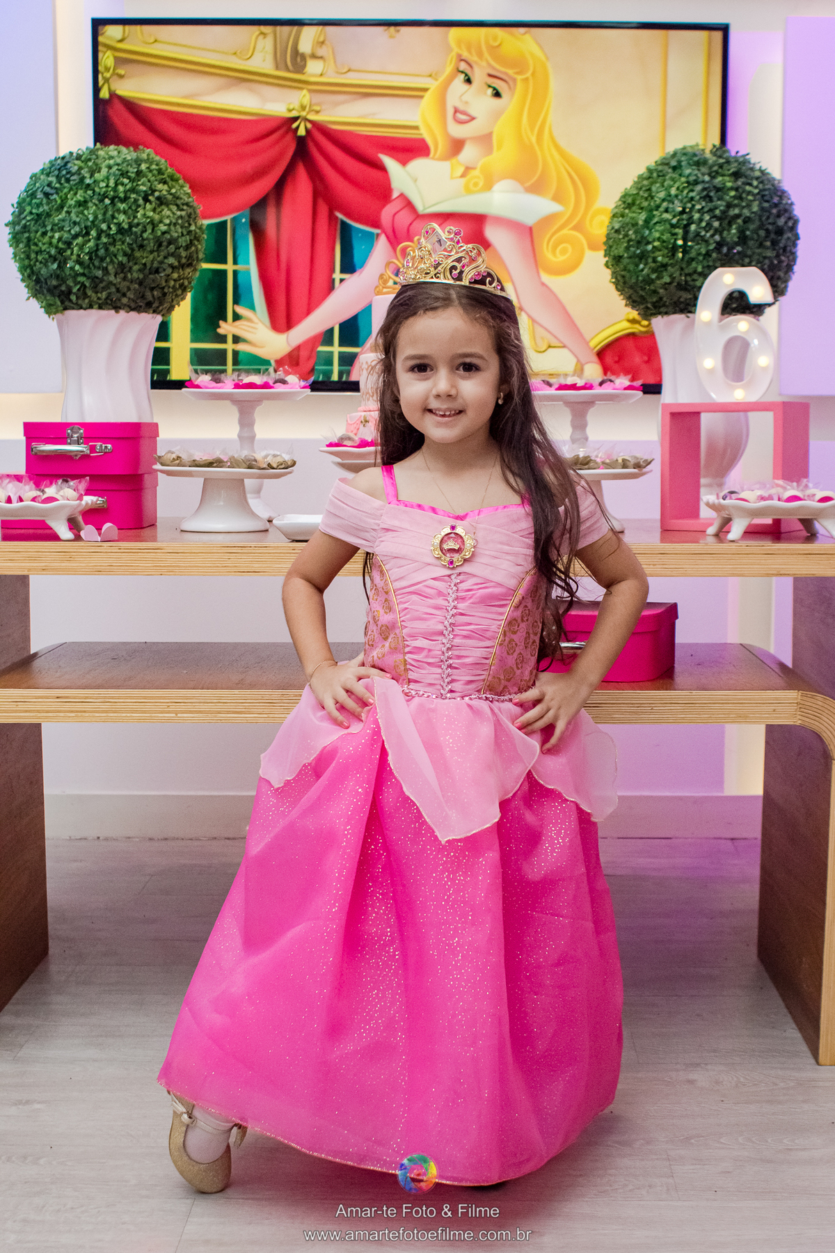 festa infantil bela adormecida parquinho de shopping rio de janeiro barra da tijuca animasom rio design vestido de princesa aurora