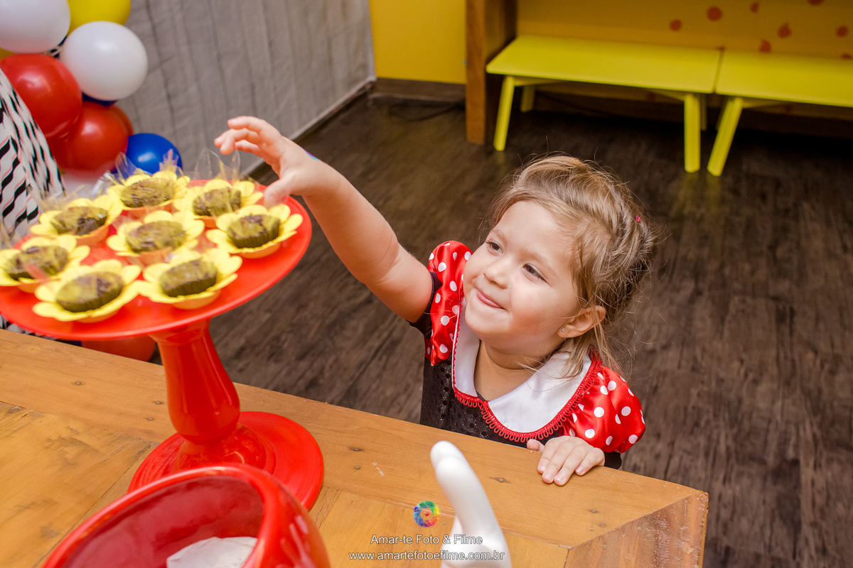 festa infantil mickey minnie decoração tema ideia poses familia fotografo de festas rj rio de janeiro
