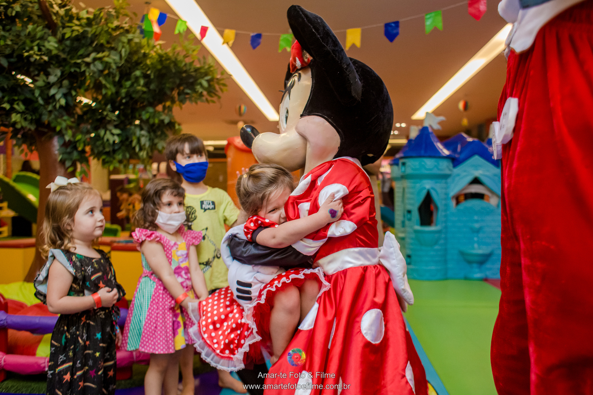 festa infantil mickey minnie decoração tema ideia poses familia fotografo de festas rj rio de janeiro